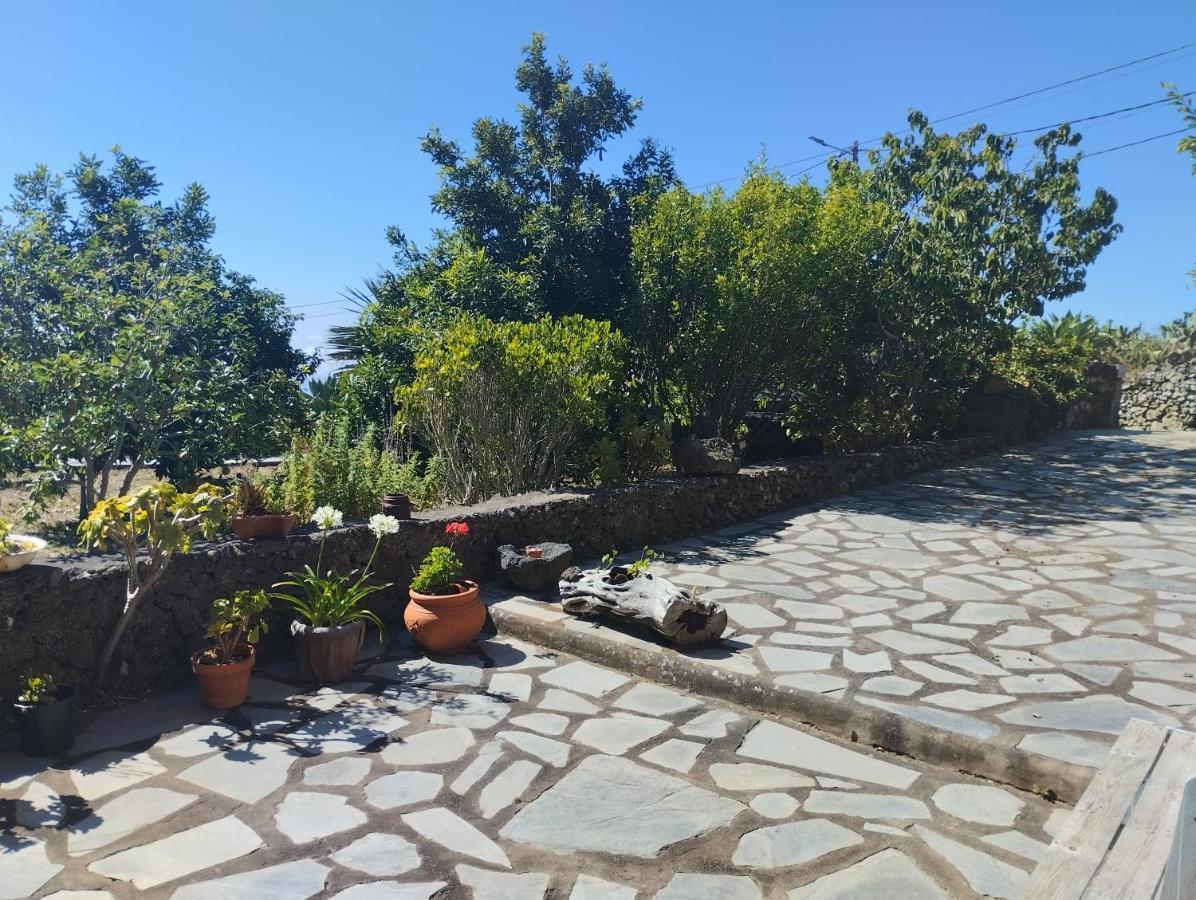 Amapola San Andres (El Hierro)